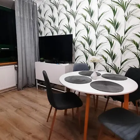 Apartament Palmowy Zakątek 2 Dla Rodziny Deluxe *