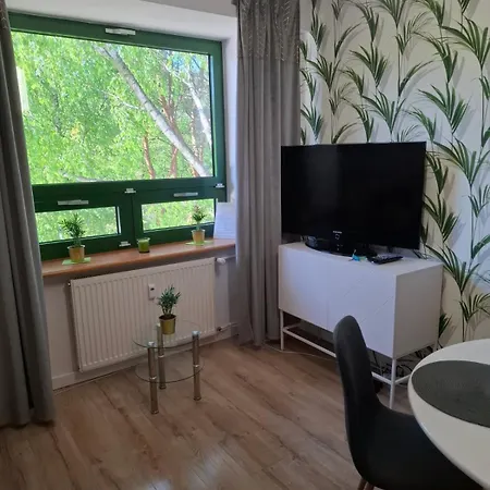 Palmowy Zakątek 2 Dla Rodziny Deluxe * Serock