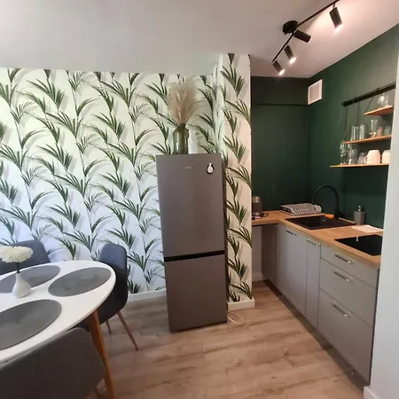Palmowy Zakatek 2 Dla Rodziny Deluxe *